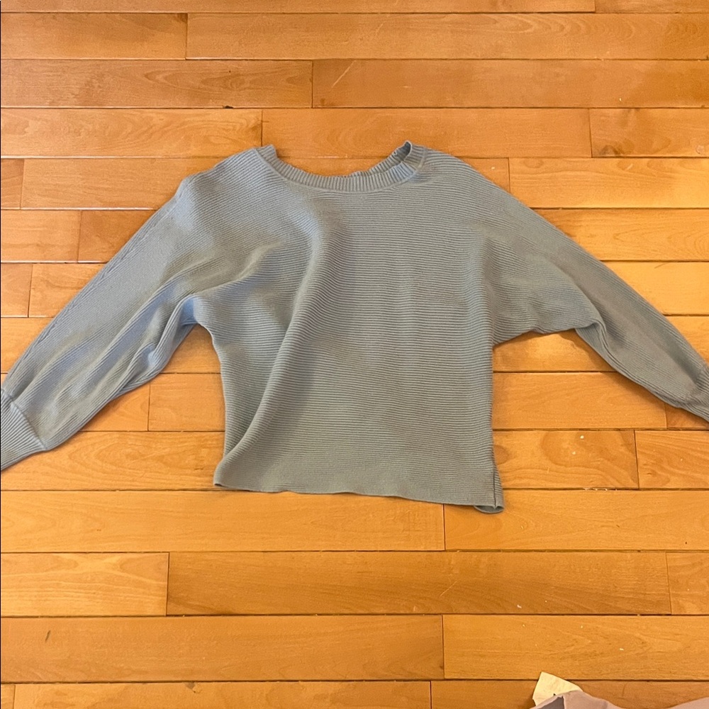 Pink Rose Light Blue Women's Sweatshirt